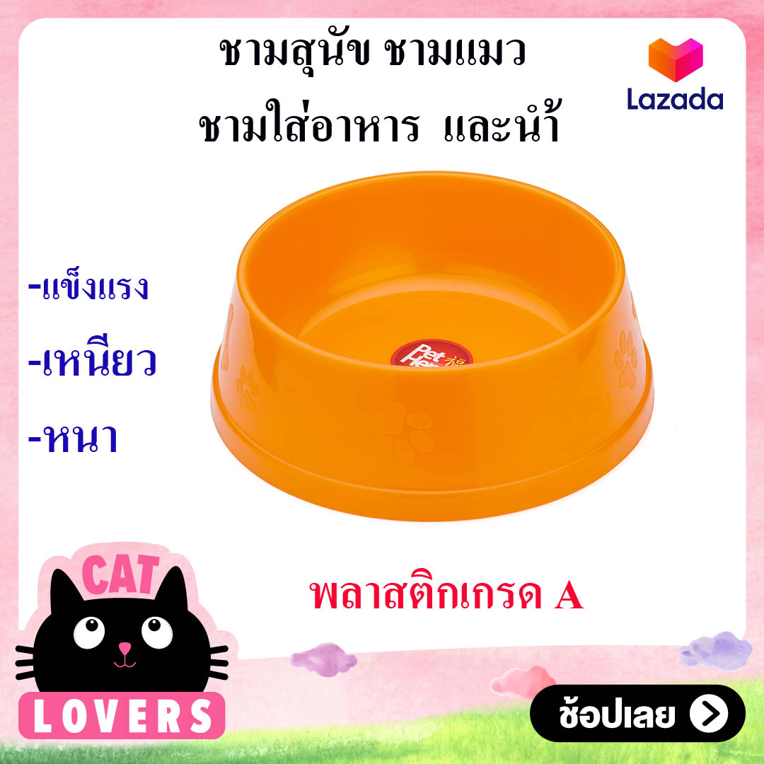Petheng Pet Bowl ชามสุนัข ชามแมว ชามใส่อาหารและน้ำ พลาสติก สำหรับสุนัข แมว กระต่าย นก  คละสี