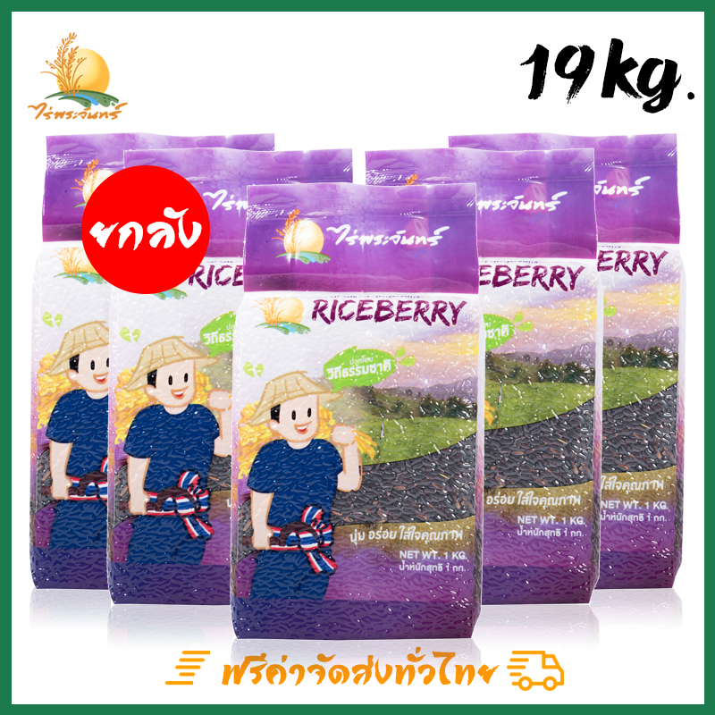 My Image 102