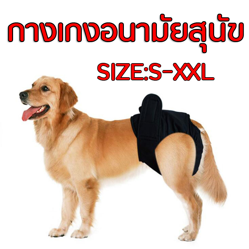 กางเกงอนามัยสุนัข Dog Diaper ผ้าอ้อมสุนัข ผ้าอ้อมหมา กางเกงอนามัยสุนัขพันธุ์เล็ก กางเกงอนามัยสุนัข size ใหญ่ Physiological Pants Sanitary Washable Female Dog Panties Shorts Underwear Briefs For Dogs สีดำ【พร้อมส่ง】