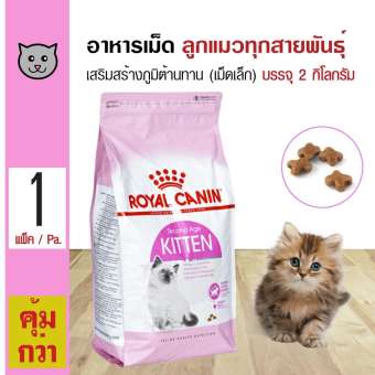 Royal Canin Kitten 2 Kg. อาหารลูกแมว เม็ดเล็ก ช่วยเสริมสร้างภูมิต้านทาน สำหรับลูกแมวอายุต่ำกว่า 1 ปี (2 กิโลกรัม/ถุง)