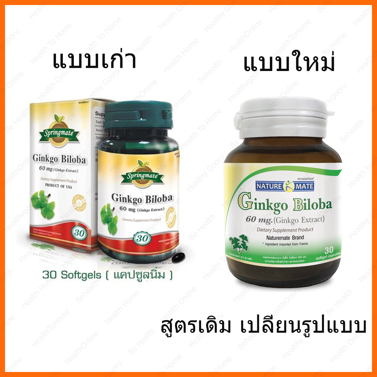 Tumeric Springmate Naturemate Springmate Ginkgo Biloba เนเจอร์เมท สารสกัดจากใบแป๊ะก๊วย 60 ...