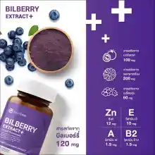 ภาพขนาดย่อของภาพหน้าปกสินค้าInterCare Bilberry extract plus สกัดจาก บิลเบอร์รี่และลูทีน บำรุงสายตา ช่วยในการมองเห็น บรรเทาตาแห้ง ตาล้า ตาพร่ามัว ( 1 กระปุก 30 แคปซูล ) จากร้าน อินเตอร์แคร์ วิตามิน บน Lazada ภาพที่ 5