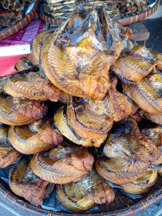 アイテムID:5204835の画像1枚目