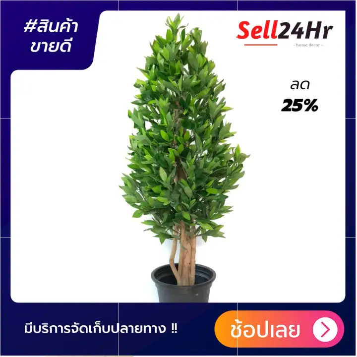 ต นไทรเกาหล ต นไม ตกแต งบ าน ส ง 1 2 เมตร ต นไม ปลอม ต นไม ประด ษฐ ต นไม ปลอมต งโต ะท างาน ต นไม ปลอมแต งบ าน โปรโมช นส ดค ม