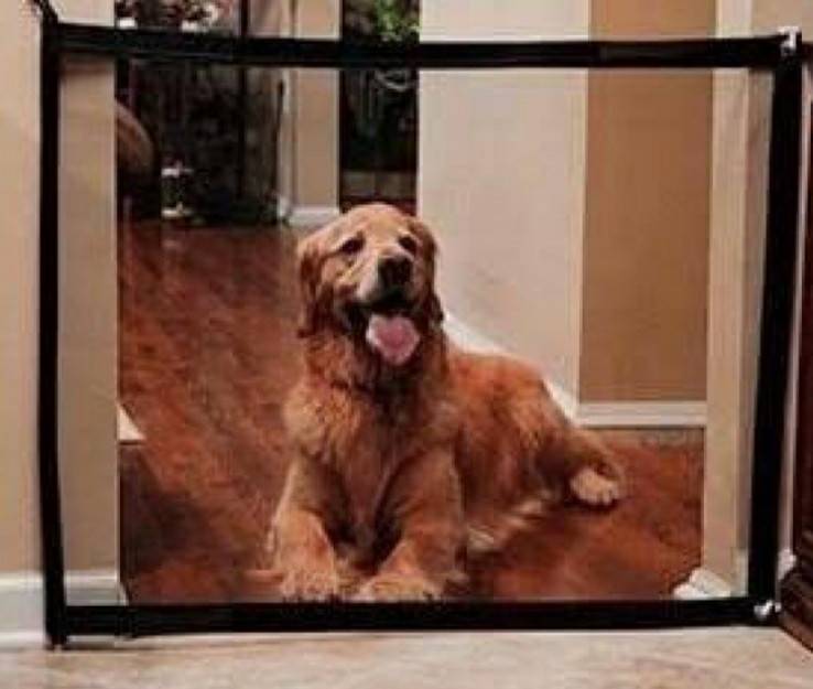magic pet gate as seen on ประตูม้วนกั้นสัตว์เลี้ยงม่านรั้วกันสุนัข กั้น