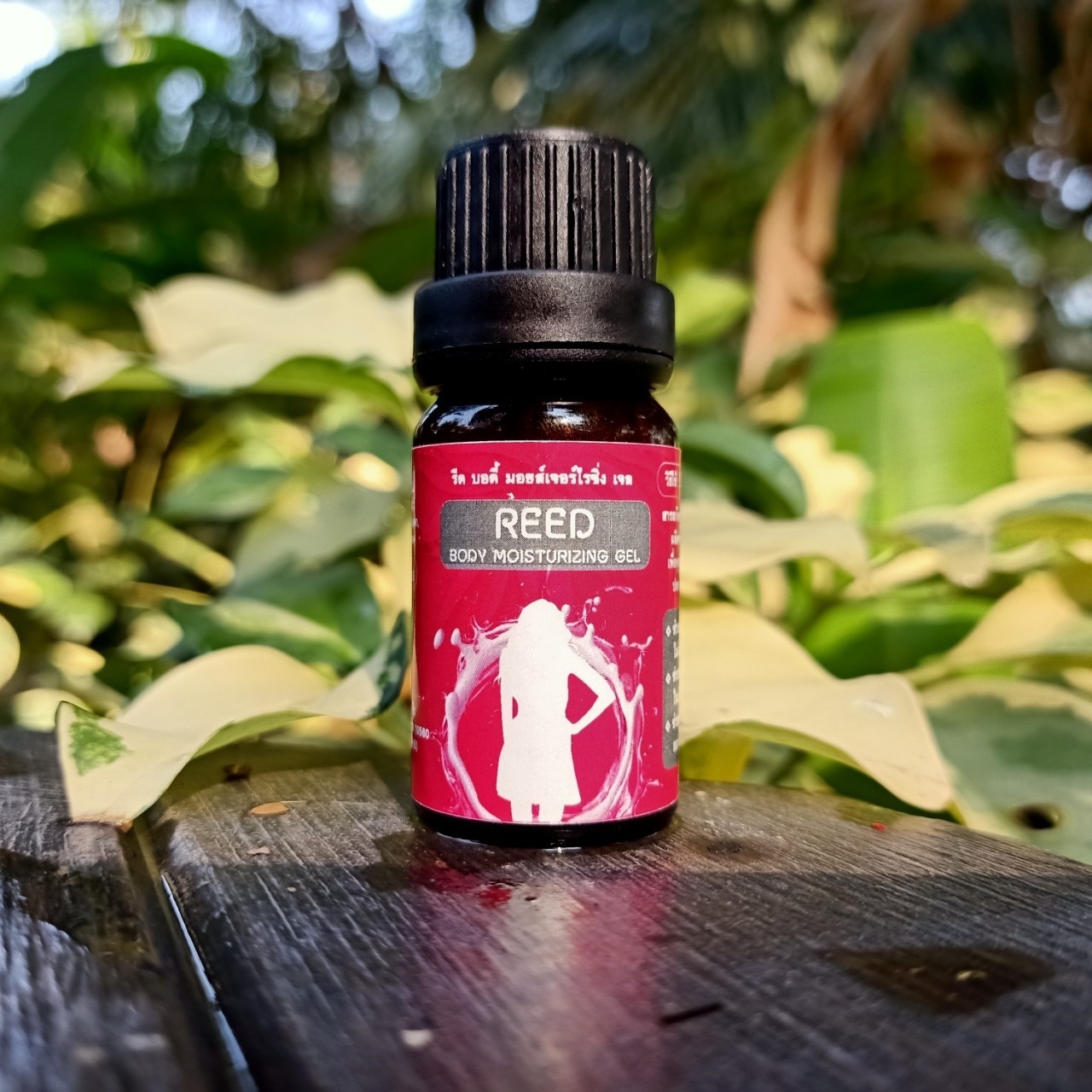 💥ไม่ระบุสินค้าหน้ากล่อง💥 Reed Body รีด เจลกระตุ้น รีดบอดี้ มอยส์เจอร์ไร