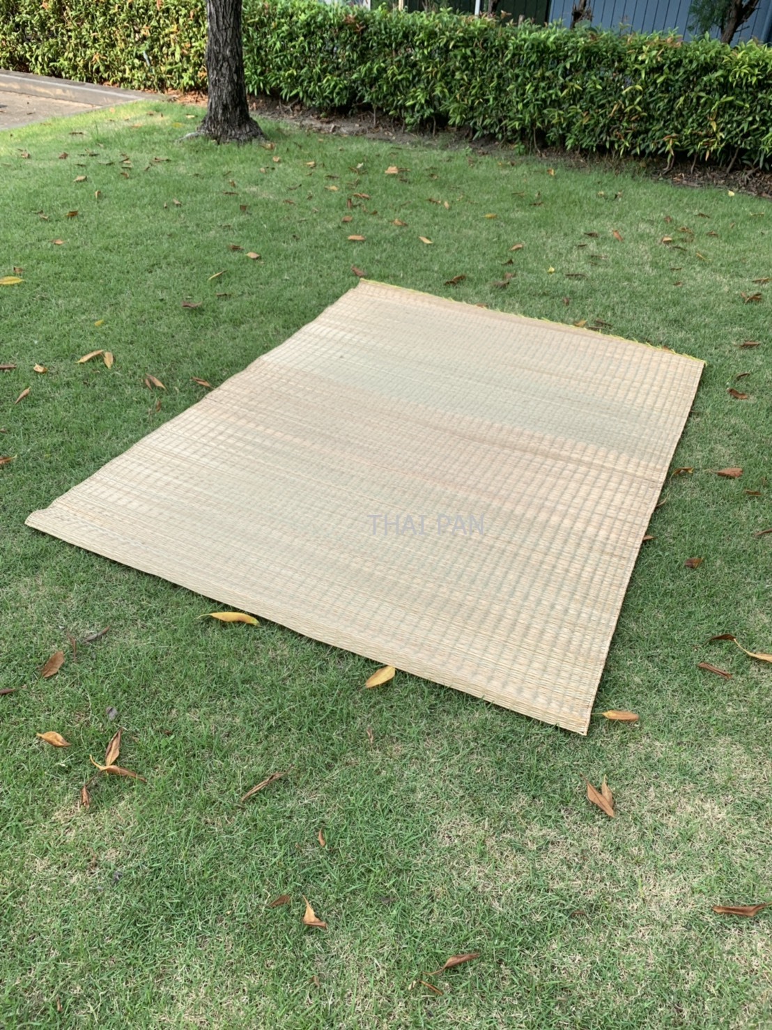 เสื่อกกแท้ เสื่อปูนั่ง เสื่อปิคนิค Thai Reed Mat  Mattress Picnic Mat day bed 75x55 inches (185x140 cm.)