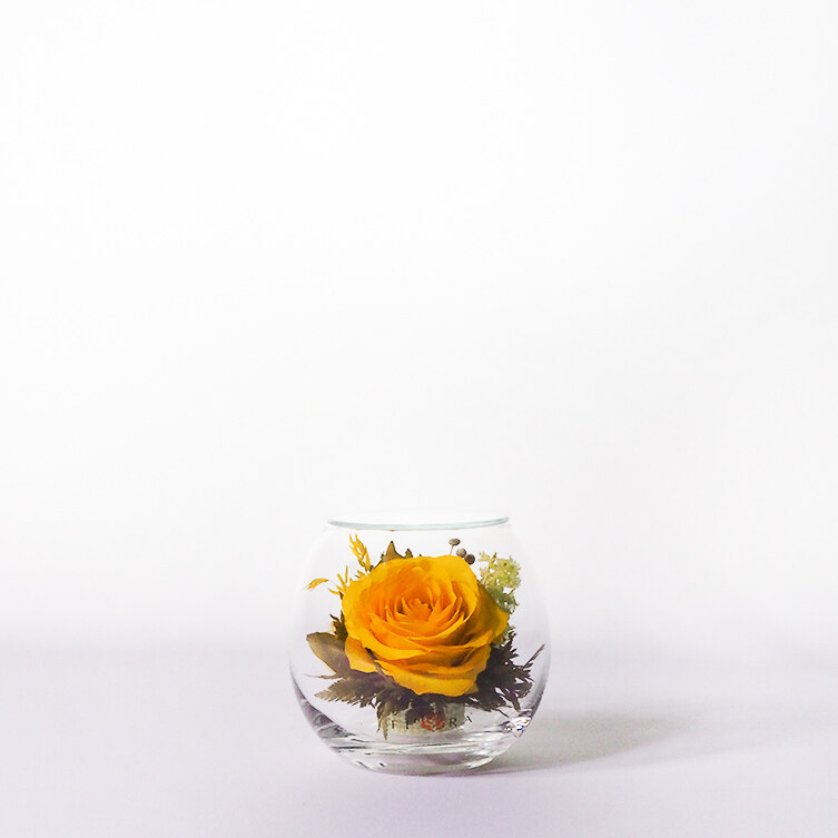 Natural preserved dried flower and roses by Fi’ora Thailand 2020 Valentine's collection. For Valentines, Gift, Home Decoration, Anniversary and present for your love ones. 100% natural flower that can last up to 5 years.