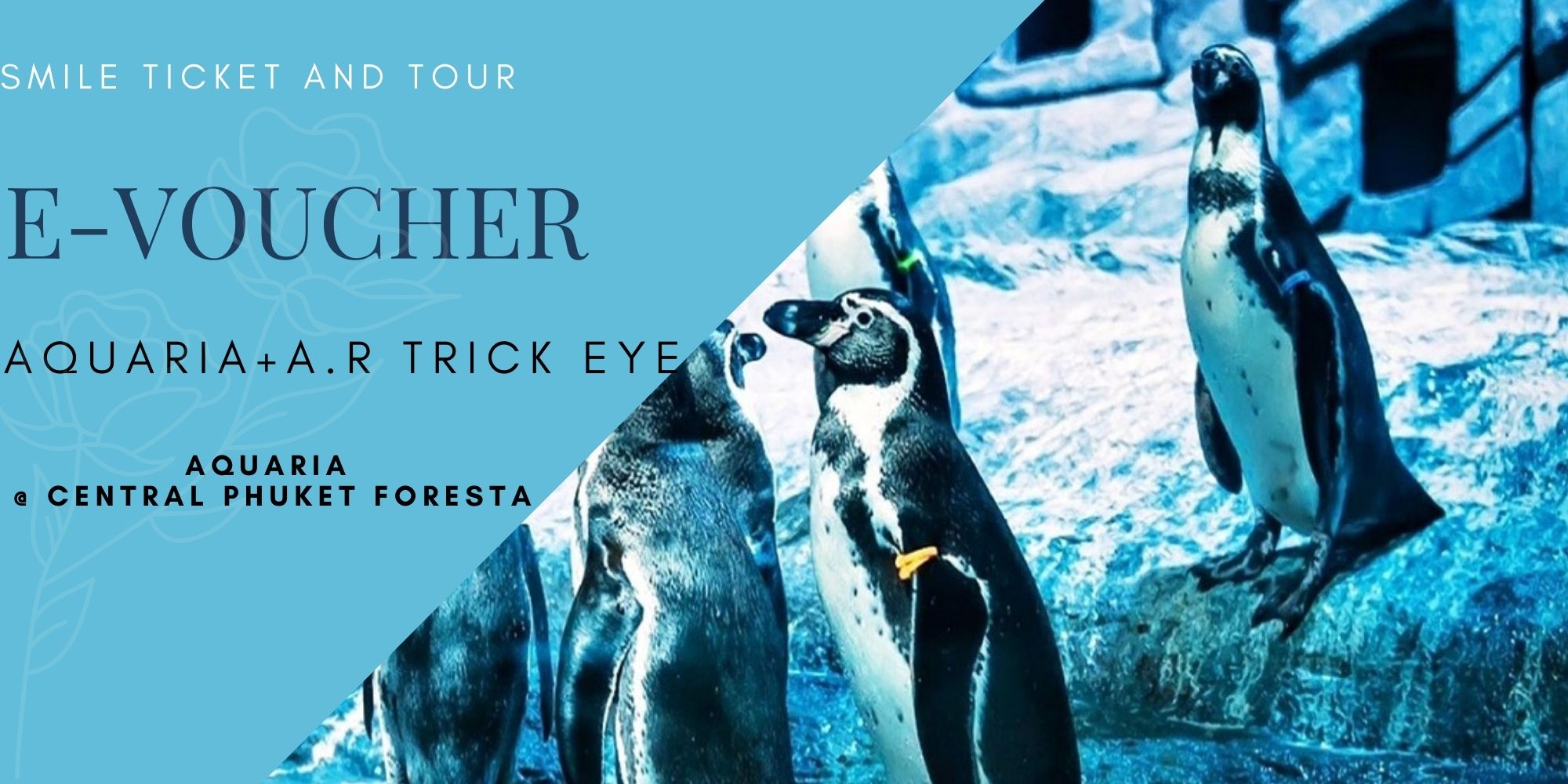 [E-Voucher] บัตรเข้าชม Aquaria เเละ Trick Eye อควาเรียมที่ใหญ่ที่สุดในประเทศไทย Aquaria Central Phuket Foresta ชั้น B1 เที่ยวภูเก็ต ทัวร์ภูเก็ต
