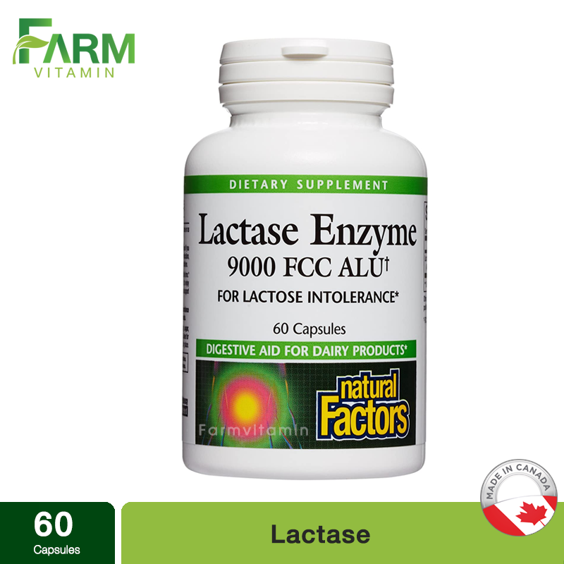 Natural Factors, Lactase, 60 Capsules Lazada.co.th