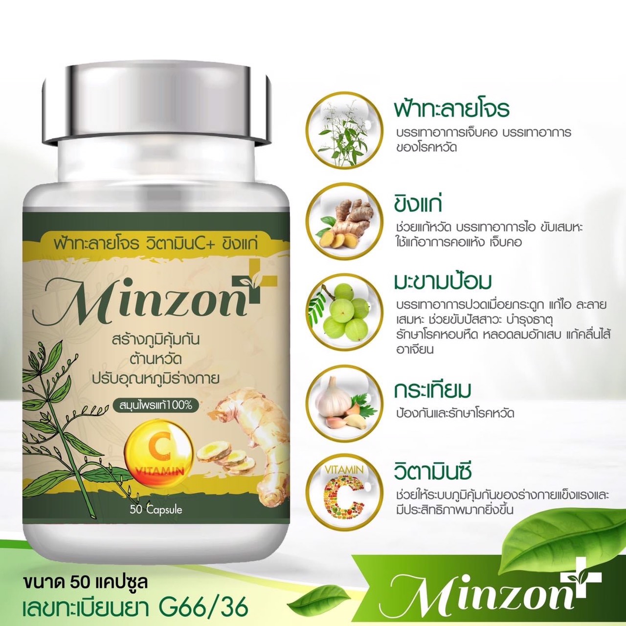 Minzon plus ฟ้าทลายโจร(+วิตามินซี+ขิงแก่) 1กระปุกบรรจุ 50แคปซูล(มีแอนโดรกราโฟไลด์10มก/1แคปซูล)