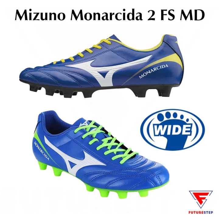 monarcida 2 fs md