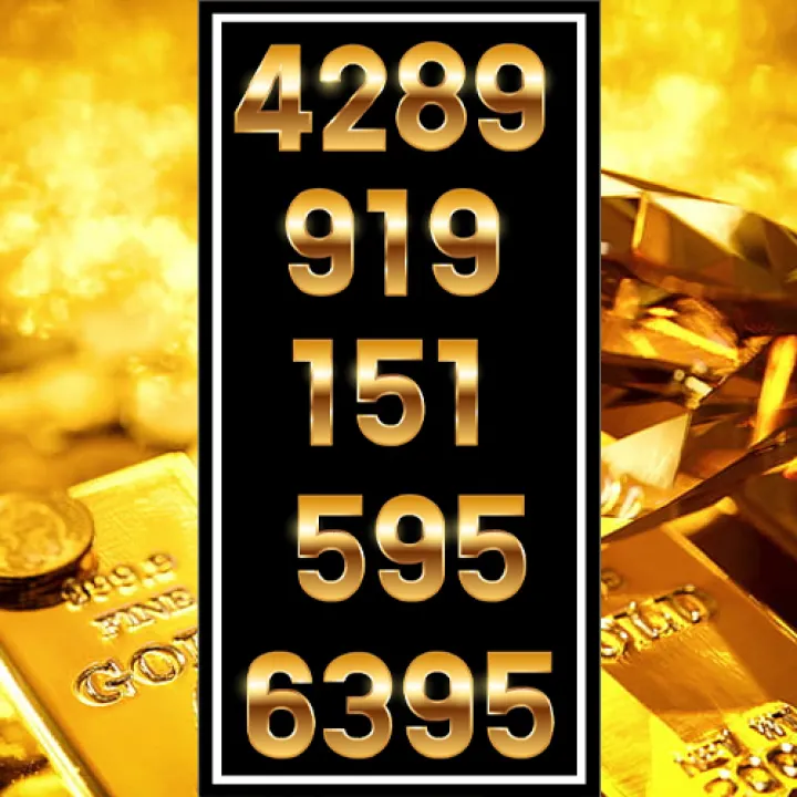 ป้ายเลขมงคล มีไว้เพื่อความปัง 4289, 919, 151, 595, 6395 | Lazada.co.th