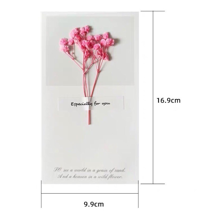 [Card4You] การ์ดอวยพรดอกไม้แห้ง Greeting Cards 12 แบบ