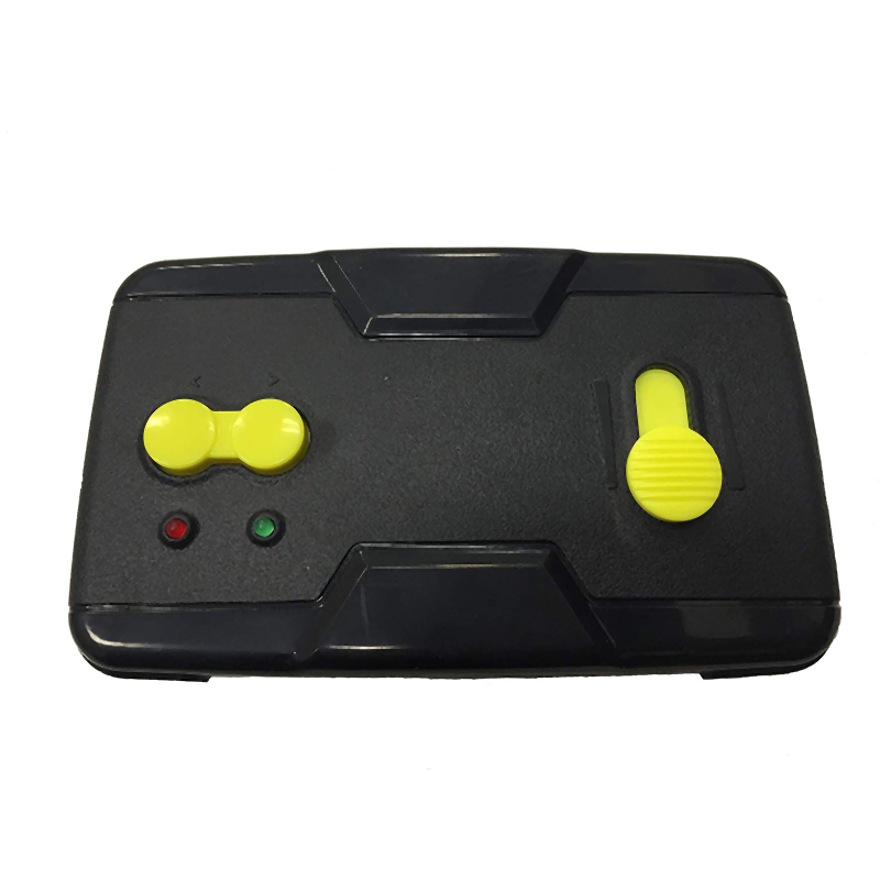 RemoteControlled Bird Simulation FlappingWing Flight Pigeon Induction