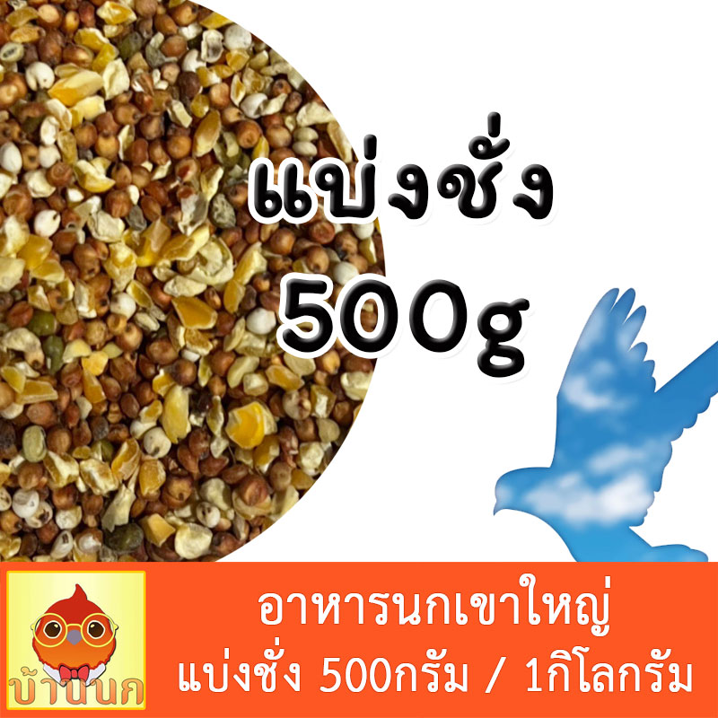 My Image 5