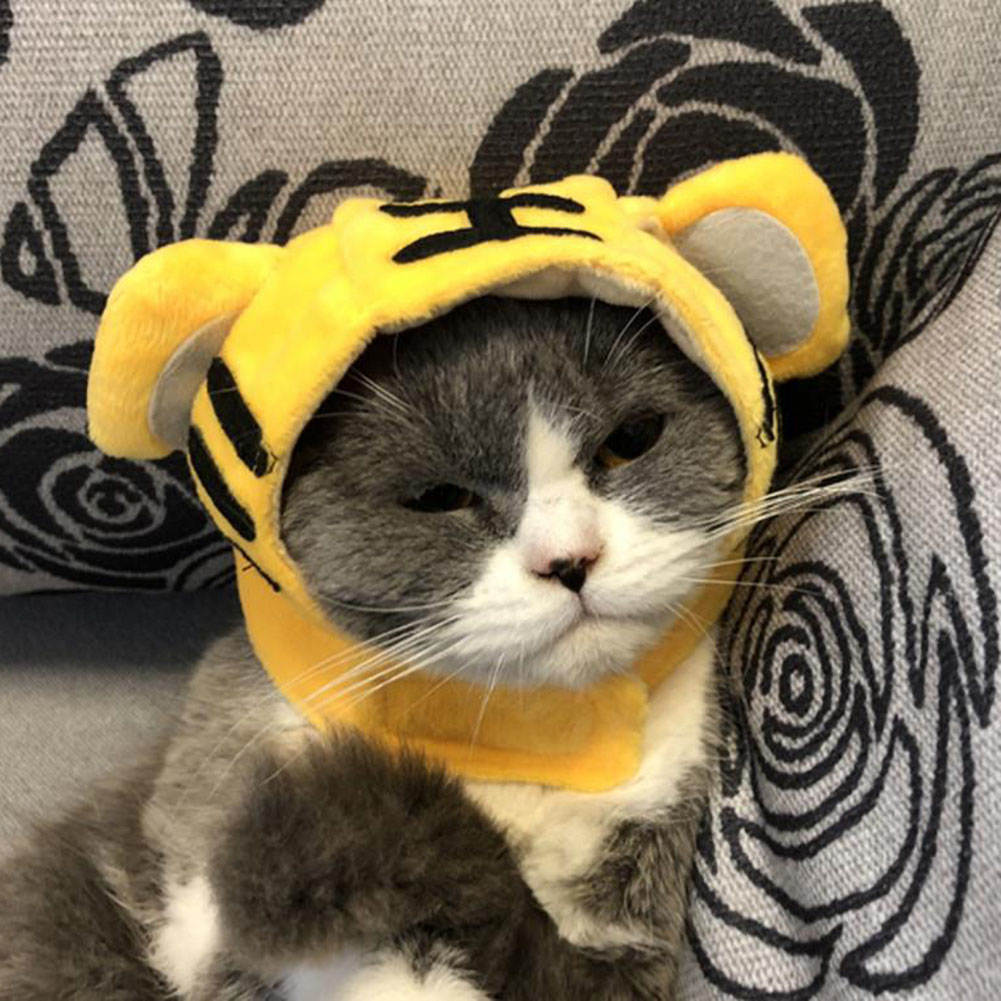 หมวกแมวตลกสีเหลือง, หมวกแมว, หมวกกันน็อกสำหรับสัตว์เลี้ยงสำหรับแมว