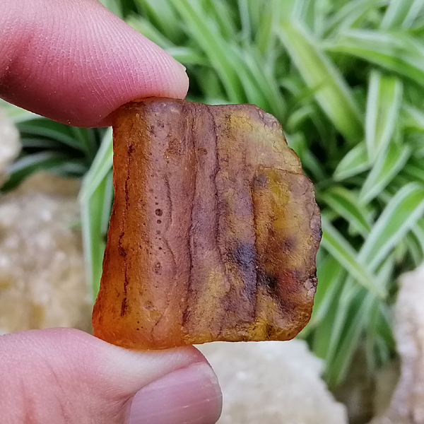 อำพัน Amber น้ำหนัก 23.90 กะรัต พลอยก้อนแท้ ไม่เผา เนื้ออ่อน หินแท้ หินอัญมณี หินมงคล พลอยธรรมชาติ