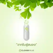 ภาพขนาดย่อของภาพหน้าปกสินค้าแพ็คคู่ Clover Plus Multi B+ Ginkgo มัลติบี พลัส จิงโกะ สารสกัดจากใบแป๊ะก๊วย 2 กระปุก (60 แคปซูล) แถม Multi B Plus Ginkgo (7 แคปซูล) จากร้าน NPS PLUS บน Lazada ภาพที่ 5