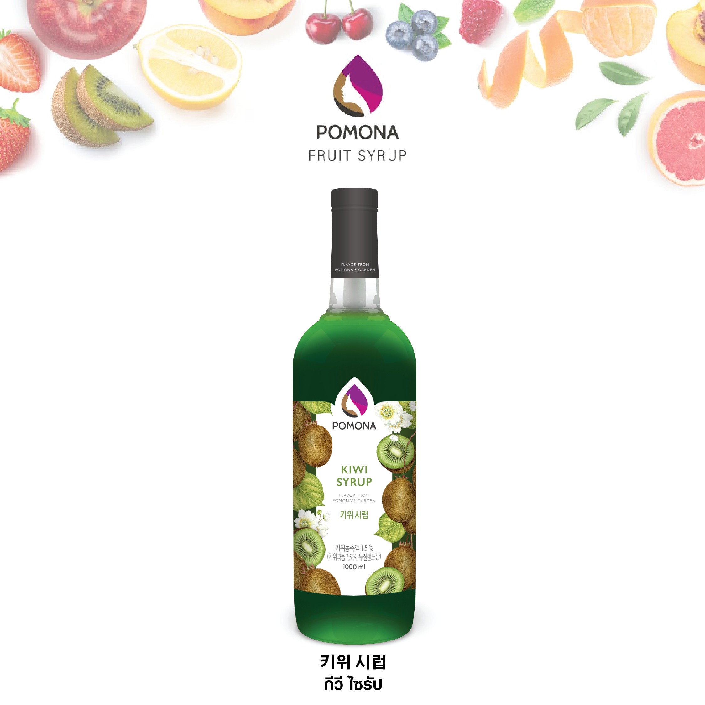 Pomona Kiwi Syrup ไซรัป กีวี่ Lazada.co.th