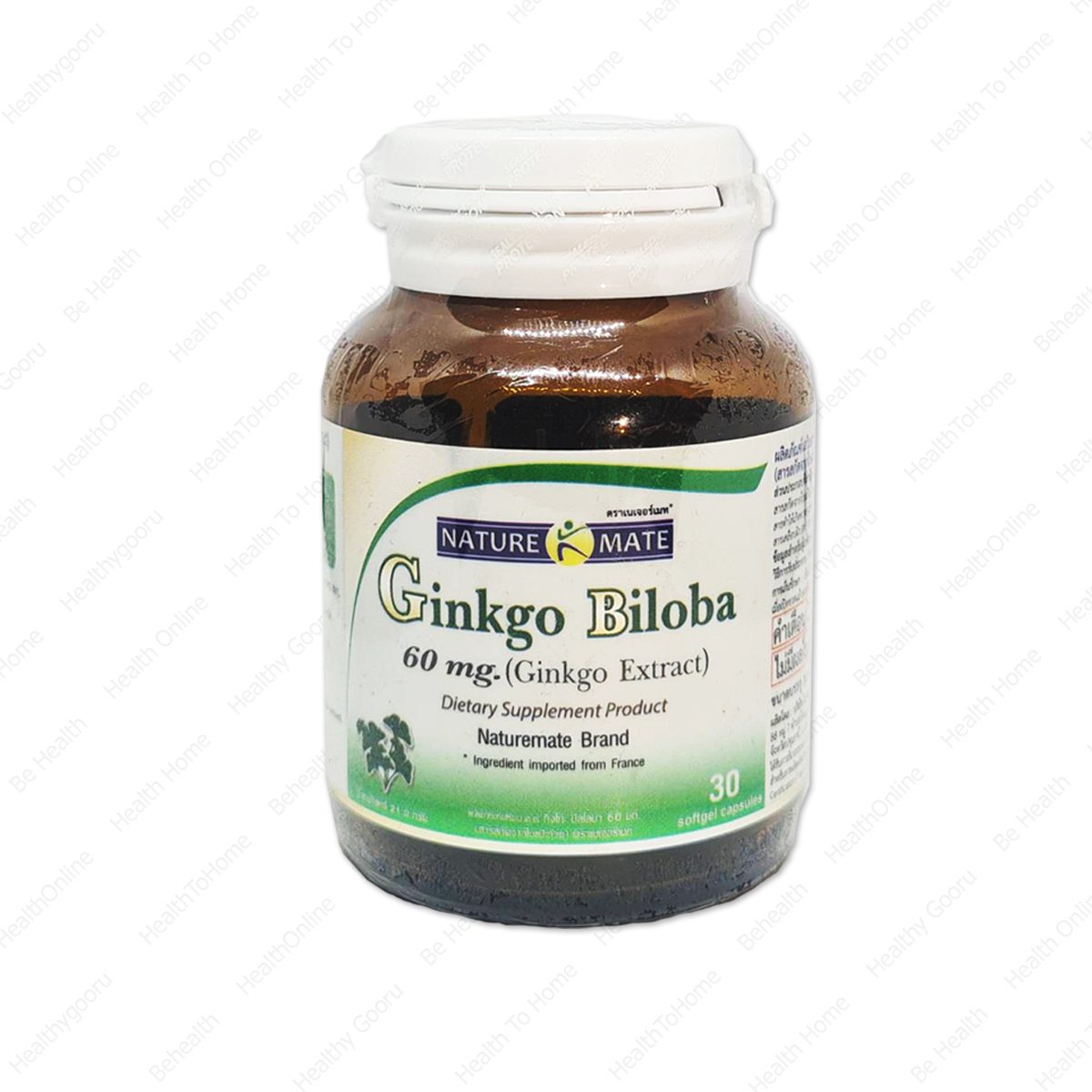 Tumeric Springmate Naturemate Springmate Ginkgo Biloba เนเจอร์เมท สารสกัดจากใบแป๊ะก๊วย 60 ...