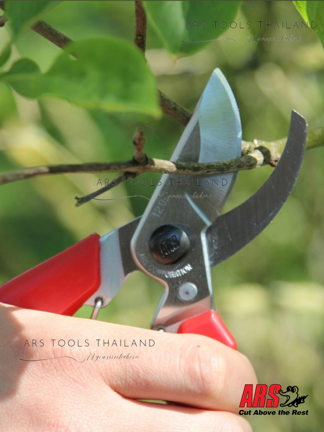 ARS 120DX กรรไกรตัดกิ่งไม้ กรรไกรตัดแต่งกิ่งไม้ ars รุ่น 120dx ARS NO ...