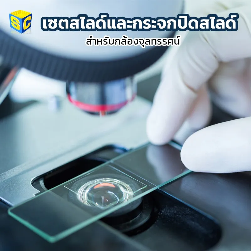 Best saller กระจกสไลด์และกระจกปิดสไลด์ อุปกรณ์วิทย์ ph meter กระดาษ ph เคมีภัณฑ์ อาหารเลี้ยงเชื้อจุลินทรีย์ beaker refractro meter PH test paper Mercury thermometer scitific intrument เครื่องแก้ว beaker หุ่นจำลอง centrifuge tube centrifug