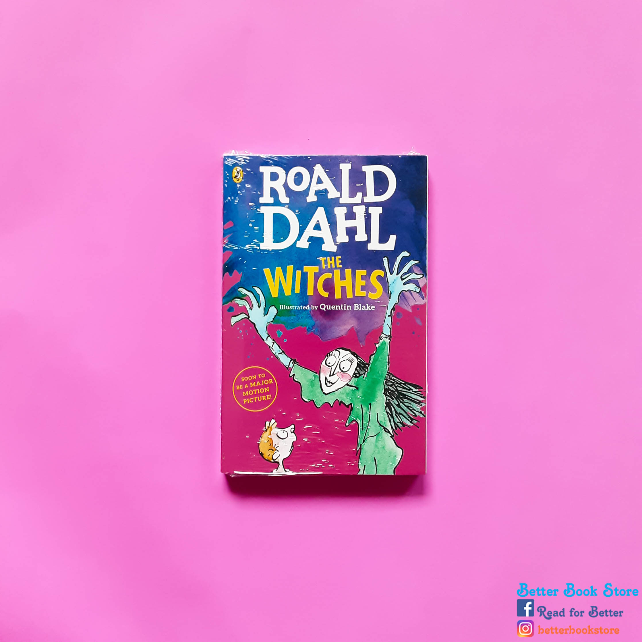 the witches roald dahl book pdf