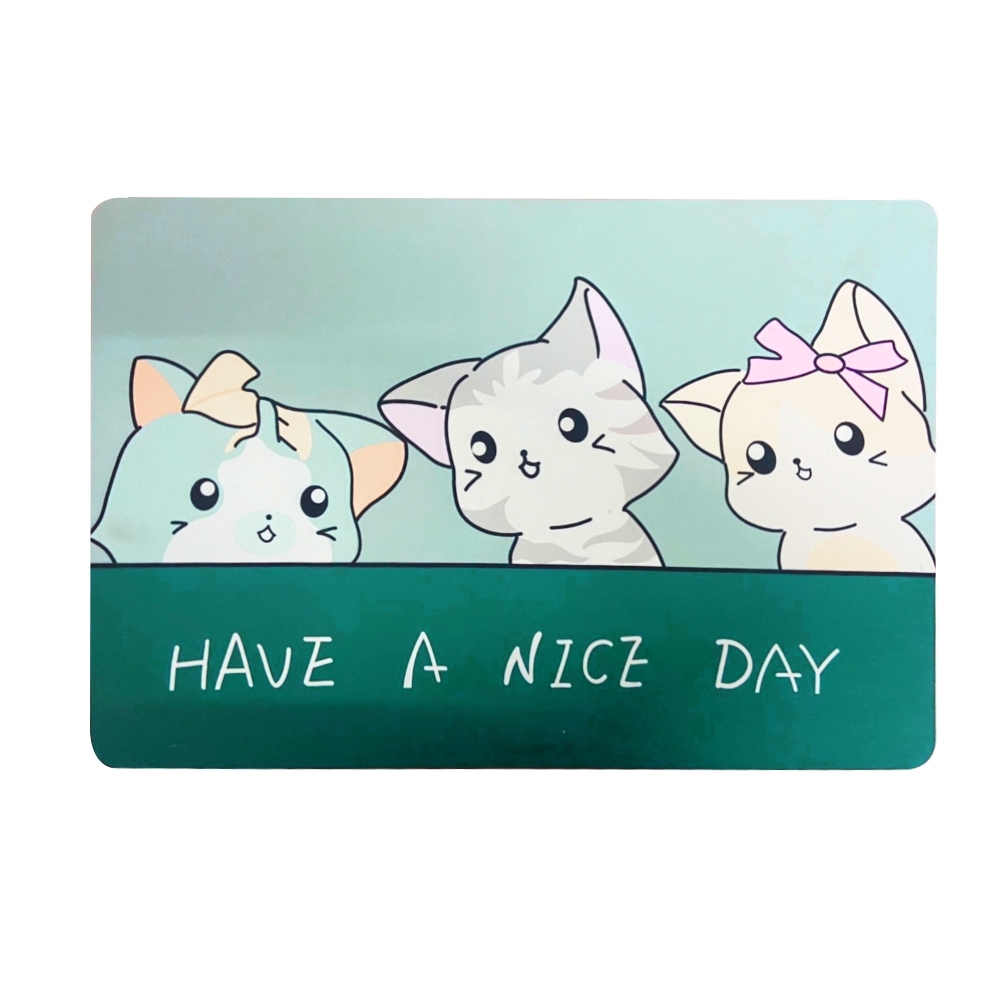 พรมเช็ดเท้าซับน้ำ พรมซับน้ำ ขนาด 40x60 cm พรม พรมเช็ดเท้า พรมห้องน้ำ พรมห้องครัว พรมปูพื้น พรม