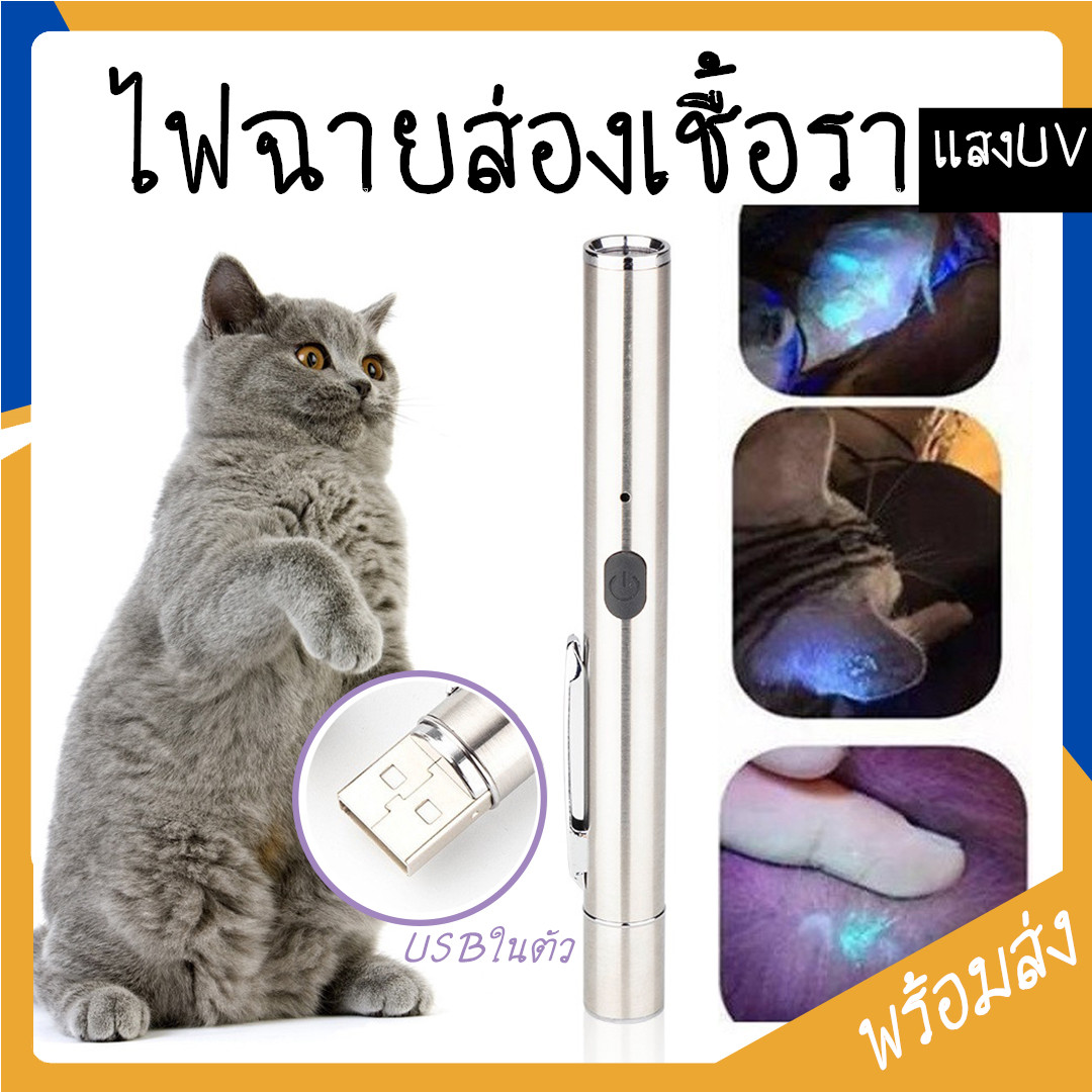 MITI4 พร้อมส่ง ไฟฉายแสง uv สำหรับตรวจเชื้อราในสัตว์เลี้ยง ยืนยันจุดที่เกิดเชื้อรา ไฟฉายเชื้อราแมว สิวเสี้ยน COD MIP77