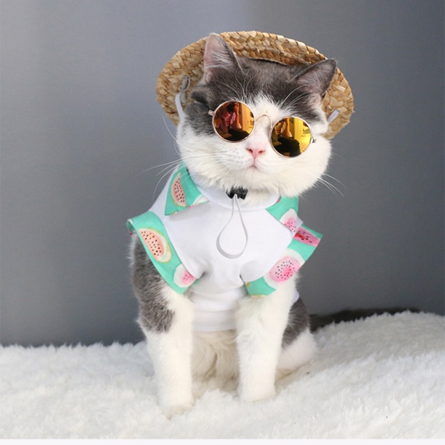 ♠☢  แว่นตาแมว แว่นตาหมา (แบบใส)
