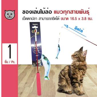 Cat Toy ของเล่นแมว ไม้ล่อแมว เบ็ดตกปลา สามารถยืดได้ยาว เพิ่มความสนุกสนาน สำหรับแมวทุกวัย ขนาด 16.5x3.8 ซม.