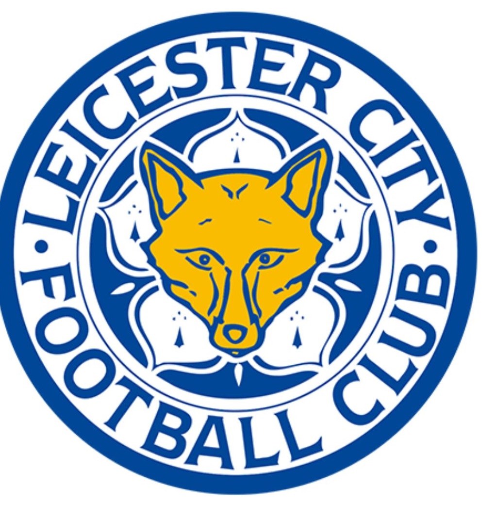 bumper stickers/decals 2 pack 8" Leicester City midlands window