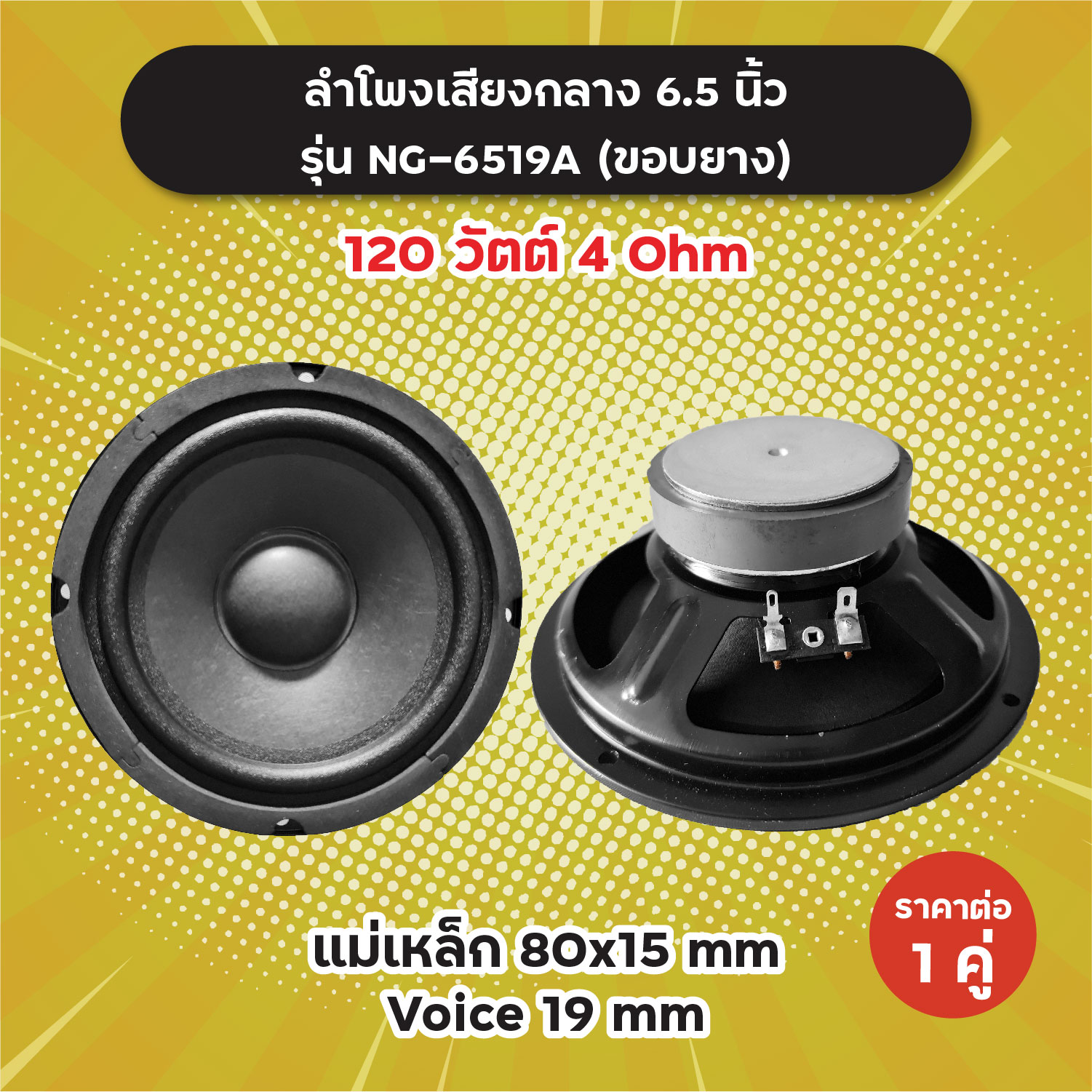 6-5-ng-6519a-1-1-120w-4-ohm
