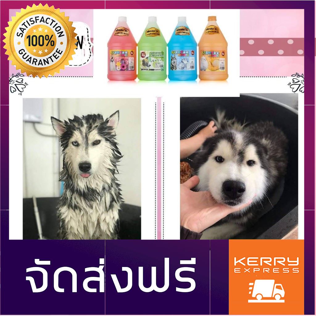 Conditioner For Dog and Cat ครีมนวดขนสำหรับสุนัขและแมว ขนาด 3000 มล.