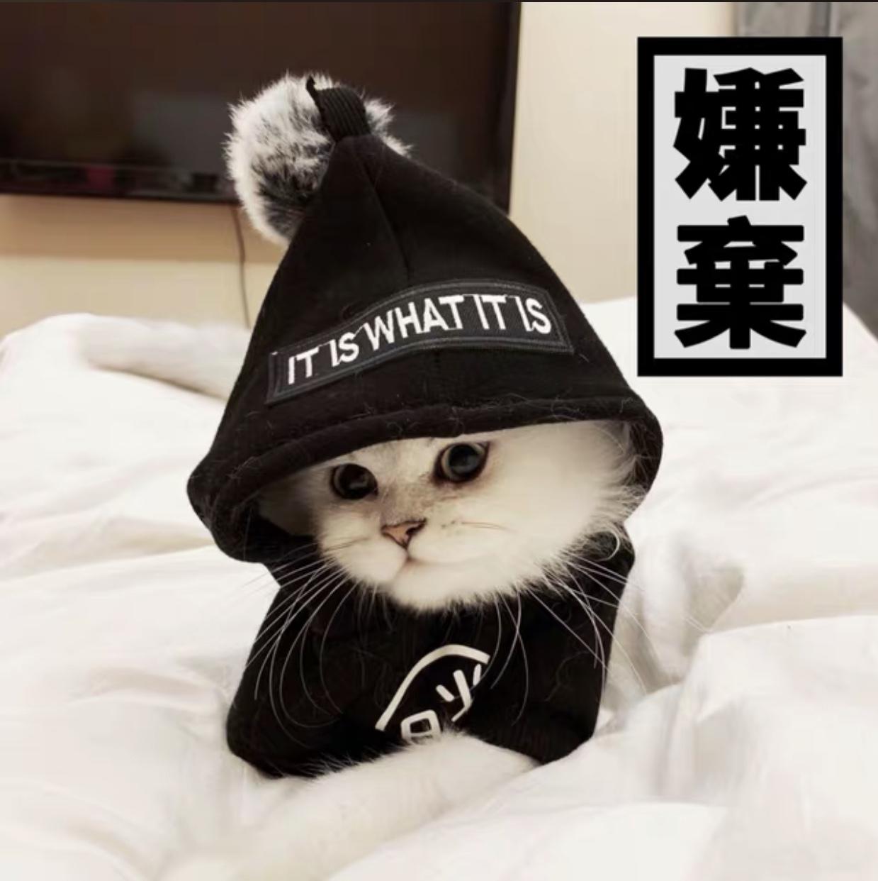 Hi Pet ❤เสื้อผ้าแมว Cat clothes เสื้อผ้าสัตว์เลี้ยง Black M