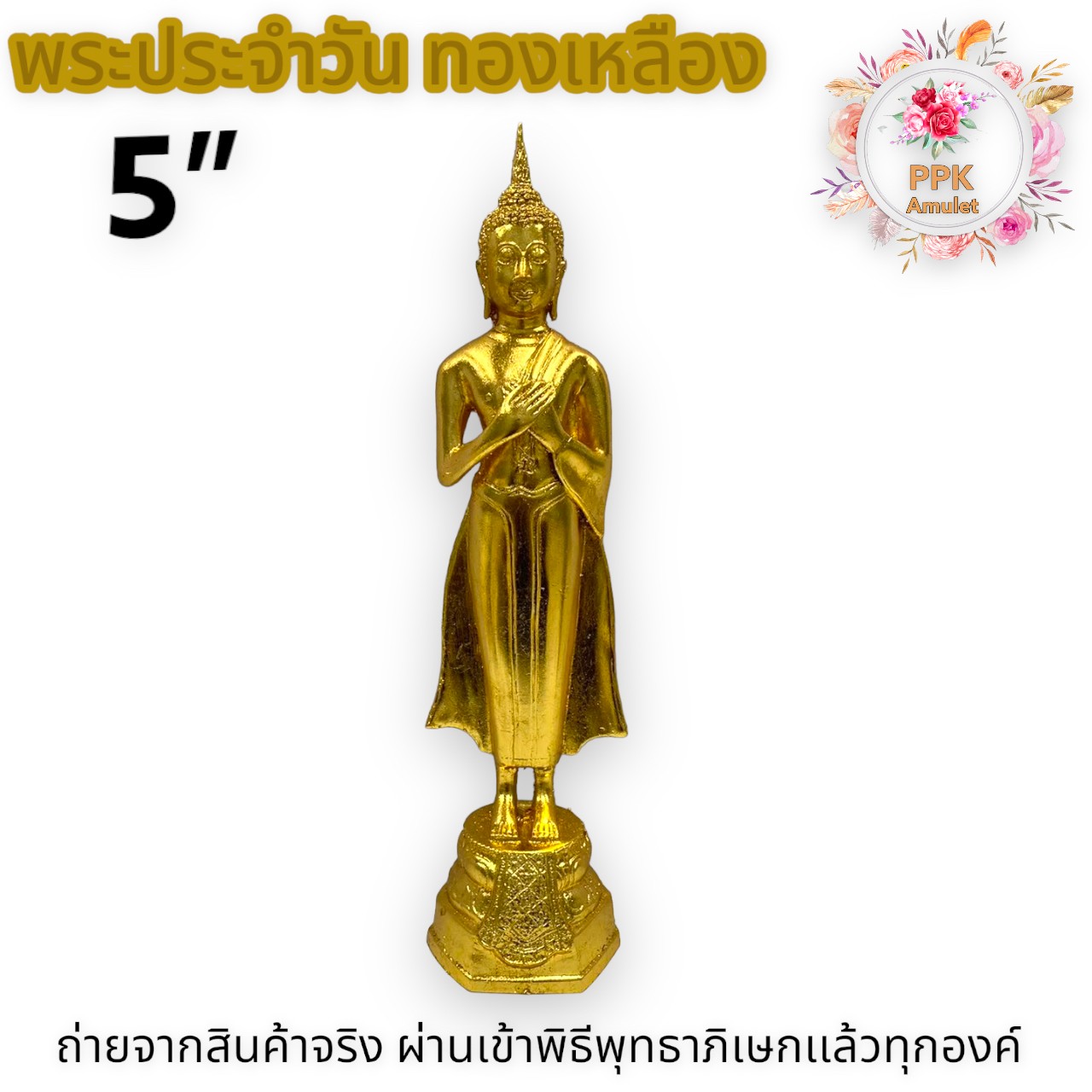 My Image 13