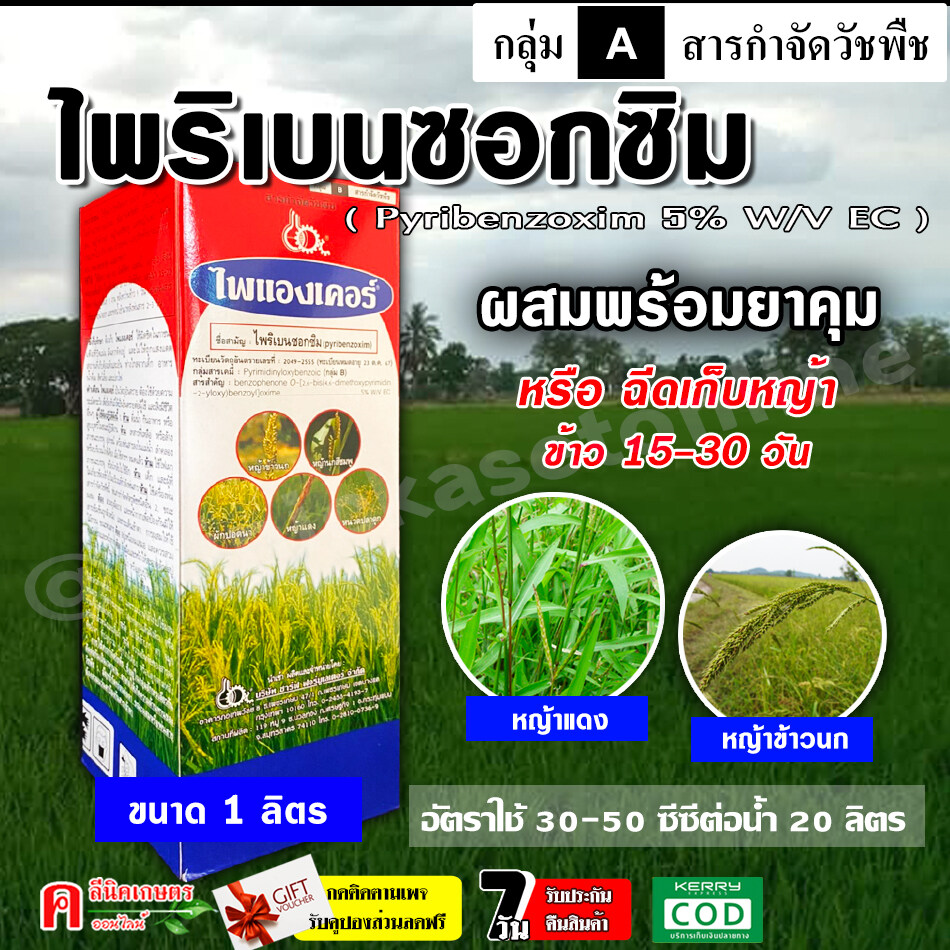 ไพแองเคอร์ 🌱 ( ไพริเบนซอกซิม )( 1 ลิตร ) สารกำจัดวัชพืช หญ้า 