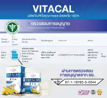 ภาพขนาดย่อของภาพหน้าปกสินค้า️1กระปุก/100เม็ด นมเม็ดแคลเซียมสูง VITACAL VishPlus 3in1 สร้างมวลกระดูก ฟัน เสริมภูมิคุ้มกัน อาหารเสริม เด็กสูงไว จัดส่งเร็วเป็นอันดับ1 จากร้าน BananaOnline บน Lazada ภาพที่ 5