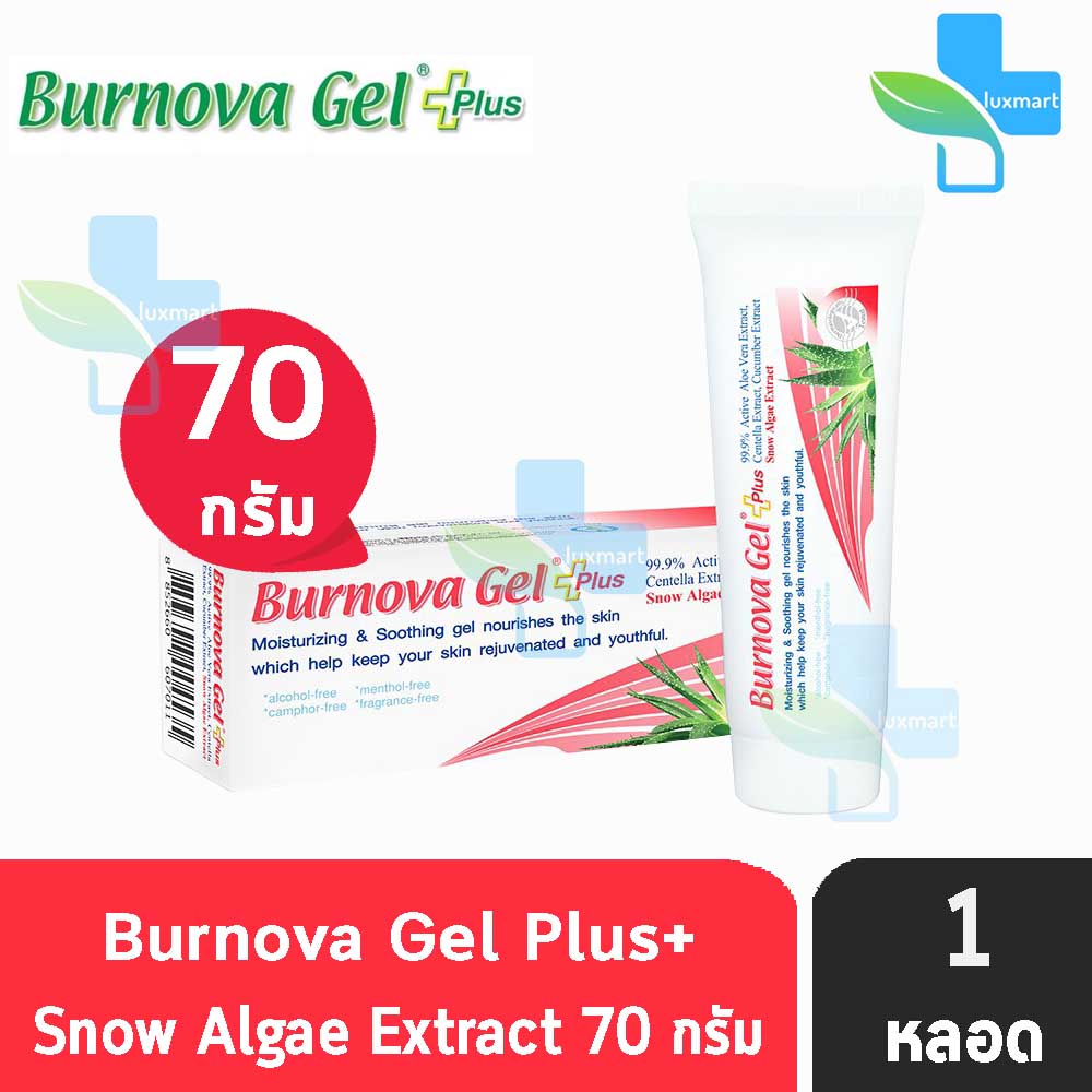 Burnova gel Plus Snow Algae 70g. เบอร์นโนว่า เจล พลัส สโนว์ แอลจี้ เจล ...