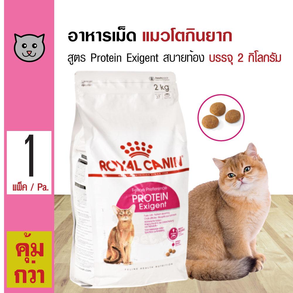 Royal Canin Protein Exigent 2 Kg. อาหารแมว สูตรแมวเลือกกิน สบายท้อง สำหรับแมวโต 1 ปีขึ้นไป (2 กิโลกรัม/ถุง)