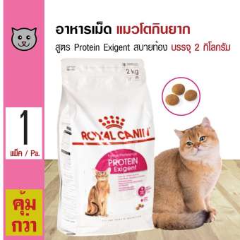 Royal Canin Protein Exigent 2 Kg. อาหารแมว สูตรแมวเลือกกิน สบายท้อง สำหรับแมวโต 1 ปีขึ้นไป (2 กิโลกรัม/ถุง)