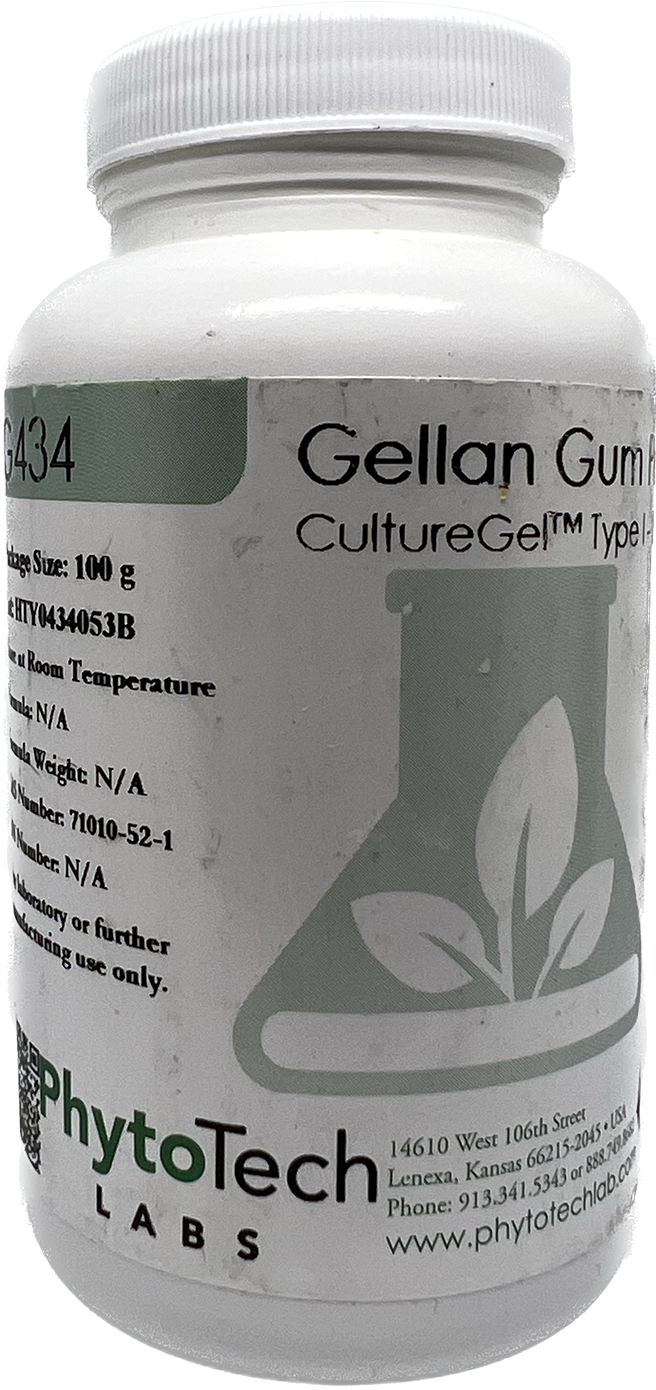 ผงวุ้นเพาะเลี้ยงเนื้อเยื่อ Gellan Gum Powder (G434) Lazada.co.th
