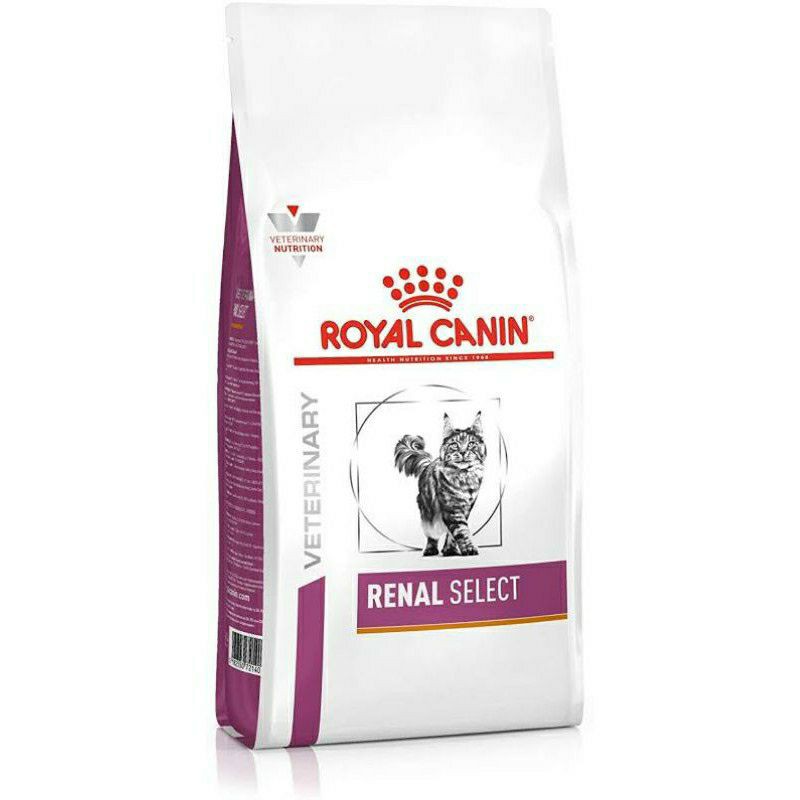 SALE Royal Canin Renal Select 4 กก ( 2kg + 2kg ) อาหารแมวโรคไต +ล็อตใหม่+ (CAT) สัตว์เลี้ยง แมว ทรายแมวและห้องน้ำ