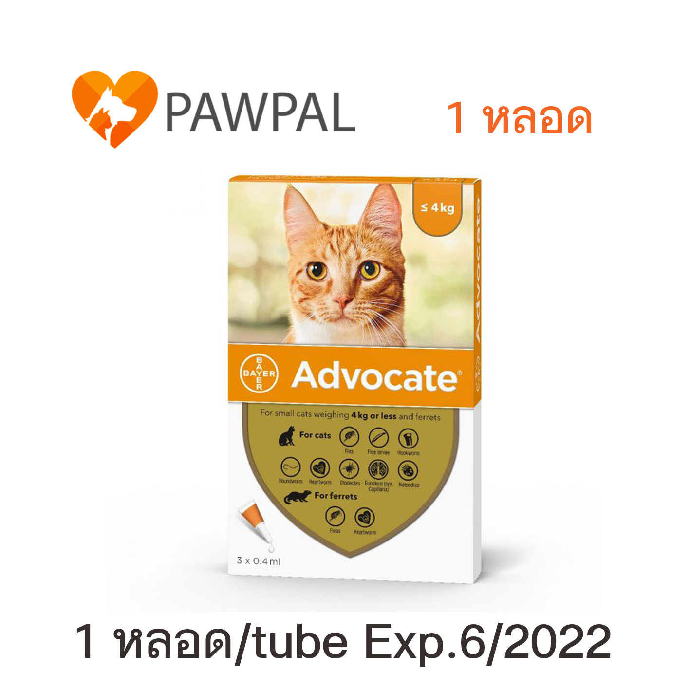 Advocateแอทโวเคท Bayer แมว ลูกแมว 0-4 kg Exp.6/2022 หยดหลังคอ หยอดหลัง สีส้ม Spot on Solution cat kitten (1 หลอด/tube)
