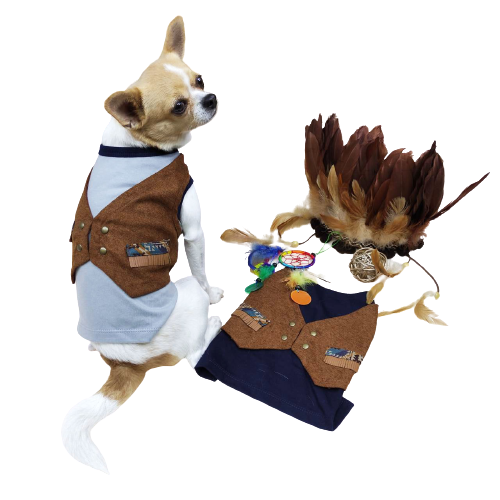 Puppé เสื้อ PAM015 เสื้อสำหรับสุนัขและแมว เสื้อหมา เสื้อแมว