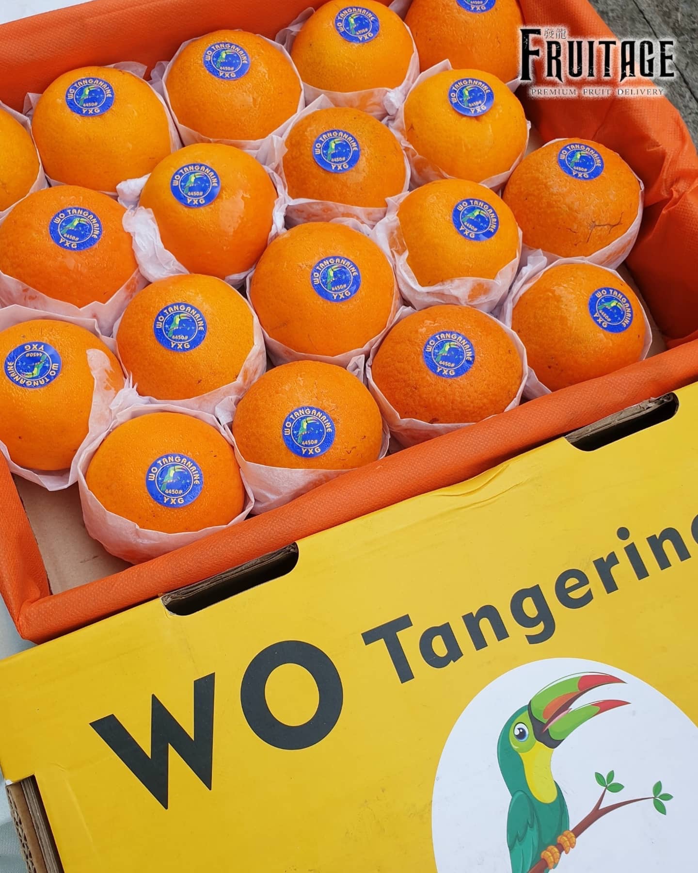 ส้มแมนดาริน ไต้หวัน Mandarin Orange (ยกลัง6-7KG) (นำเข้า) ~ลดพิเศษ~ ผลไม้ต่างประเทศ ขายส่ง ราคาส่ง ส้มไต้หวัน ตรานกเงือก YXG Wo Tangerine Wogan Orange