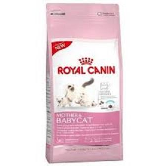 Royal Canin Mother and Baby Cat อาหารแมว สูตรเสริมสร้างภูมิต้านทาน สำหรับลูกแมวและแม่แมว 10kg