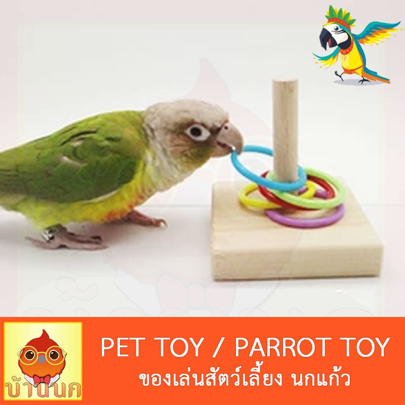 ของเล่นนก Parrot Toy  ของเล่นเสริมทักษะนก ของเล่นนกแก้ว ห่วงนกแก้ว