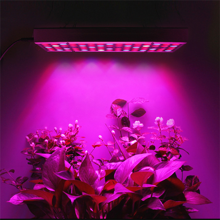 欧洲全光谱 LED 植物生长灯，植物生长灯 45W/TT LED 植物生长灯 220V Wolt 室内种植帐篷植物灯种植烟花 LED 水培种植植物